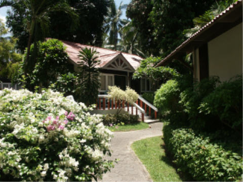 Garten Bungalow im Palm Beach Resort